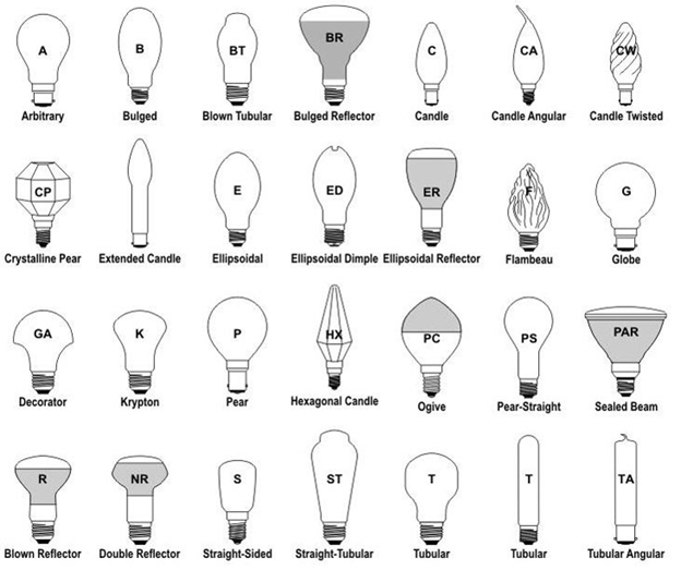 How To Choose The Right Best Bulb Shapes And Sizes?