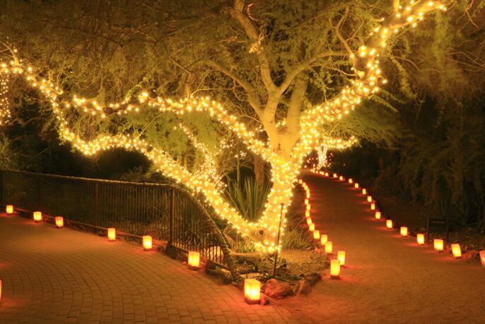 how to string lights on trees outdoors