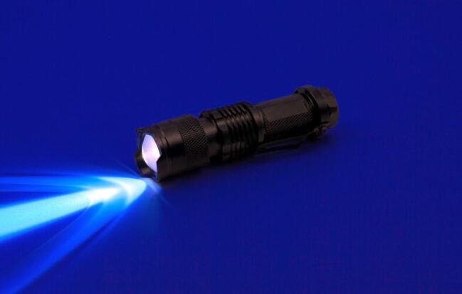 what are uv flashlights used for